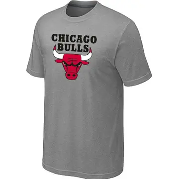 Chicago Bulls Big & Tall Short Sleeve T-Shirt - Light - Men's Grey