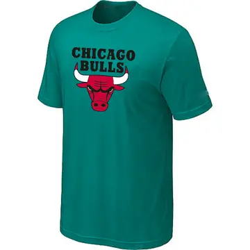Chicago Bulls Big & Tall Short Sleeve T-Shirt - - Men's Green