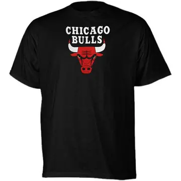Chicago Bulls Primary Logo T-Shirt - - Men's Black